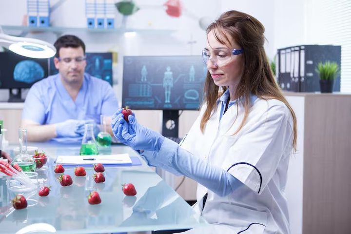 ELISA Assays Overview: IL-6 Detection Methods Guide & Comparison