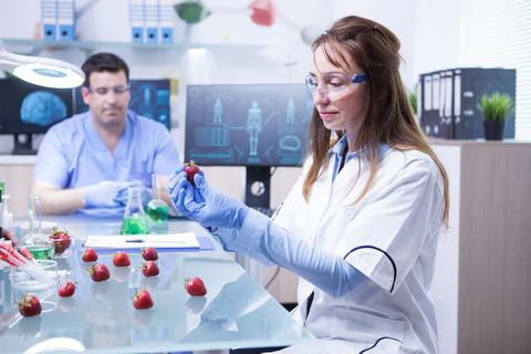 ELISA Assays Overview: IL-6 Detection Methods Guide & Comparison