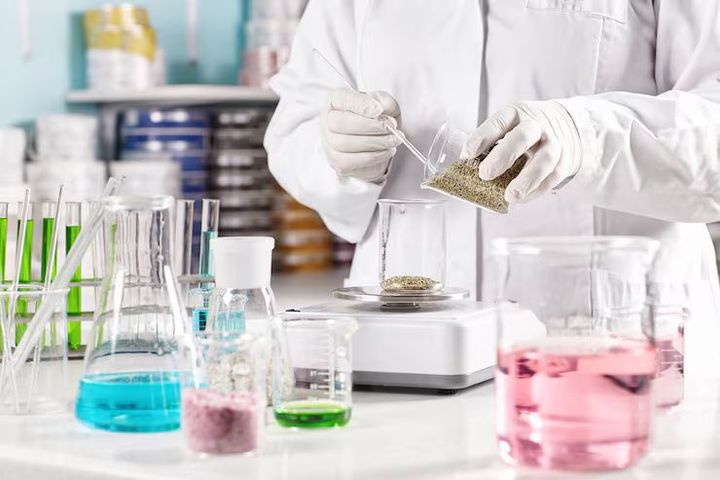 Chemical Production Guide: Basics, Processes, and Industry Insights Explained