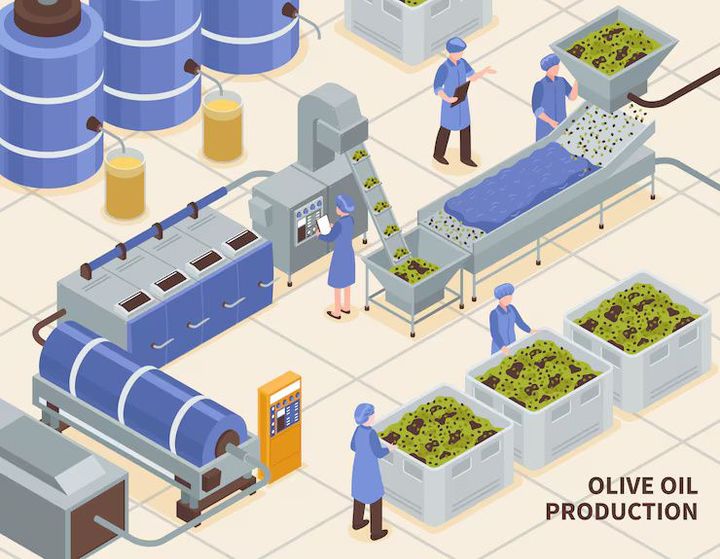 Cold Press Oil Machine Guide: Working Process and Daily Usage Benefits