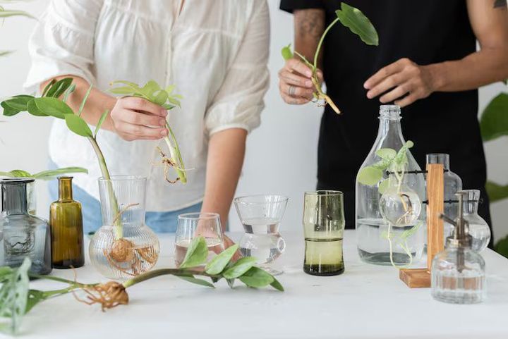 Shampoo Manufacturing Plants: Basics, Trends, Regulations & Practical Insights