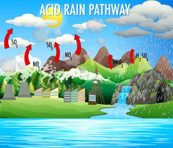 Rainwater Diversion Setup Guide for Efficient Water Management