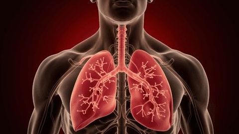 Pulmonary Hypertension: Understanding Its Impact and Management